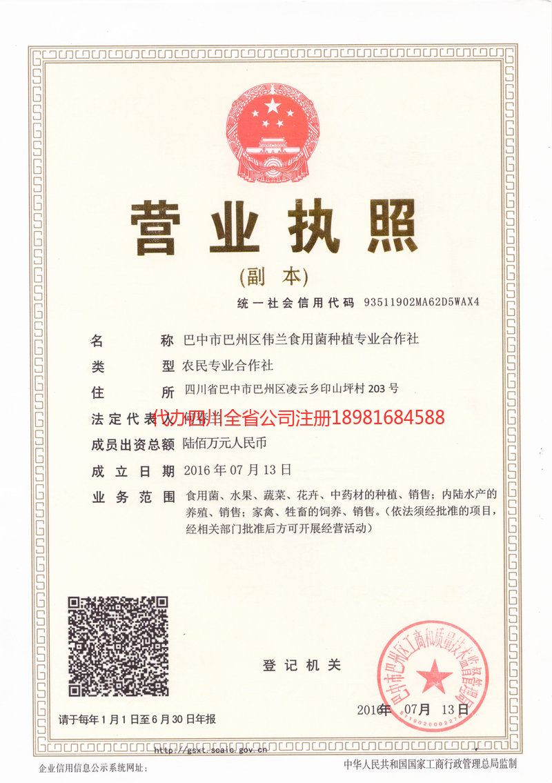 宁乡宁乡伟兰食用菌种植专业合作社